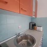 Apartament Ruza